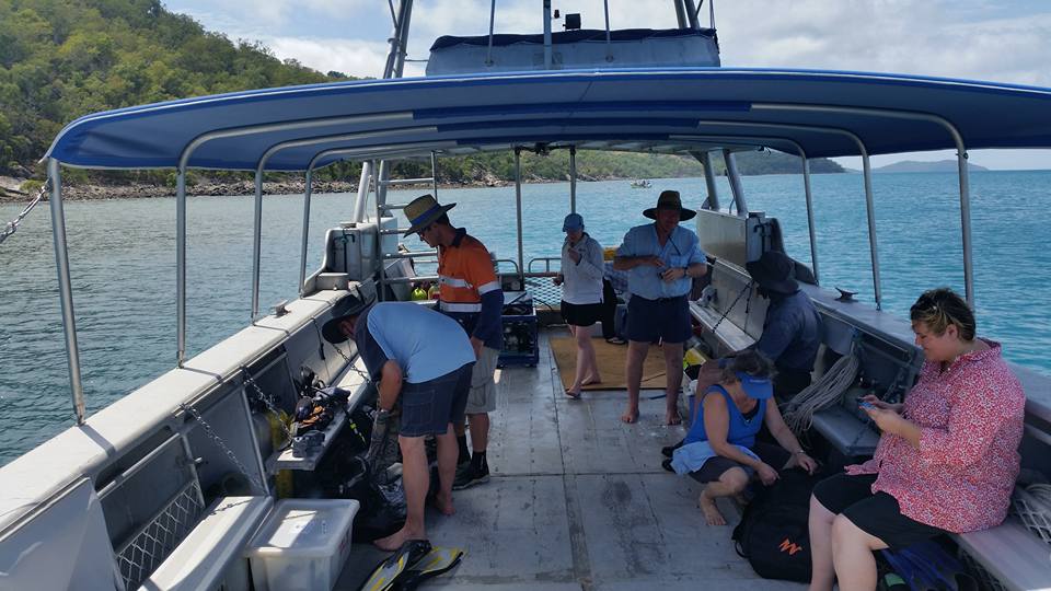 Bramble Reef and Pelorus Day Trip 6