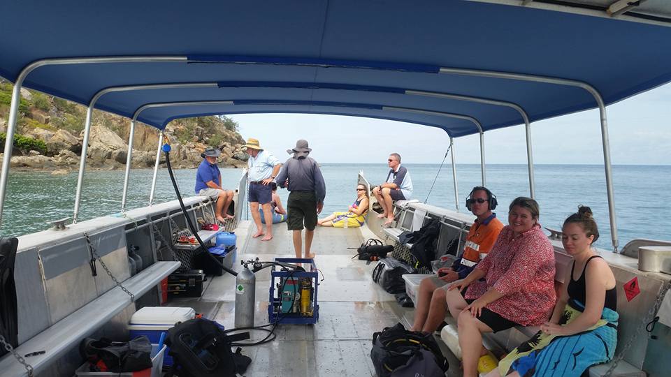 Bramble Reef and Pelorus Day Trip 7