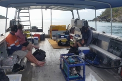 Bramble Reef and Pelorus Day Trip 3
